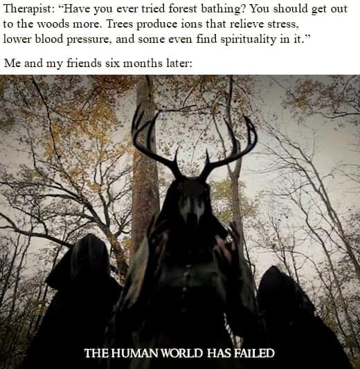 The meme is a humorous take on the idea that someone who has never tried forest bathing (a form of therapy that involves spending time in nature to reduce stress) is being asked to do so. The text at the top of the image reads: "Therapist: 'Have you ever tried forest bathing? You should get out to the woods more. Trees produce ions that relieve stress, lower blood pressure, and some even find spirituality in it.'" The image below is a dark, eerie forest scene with a figure in the distance, and the text at the bottom reads: "Me and my friends six months later: THE HUMAN WORLD HAS FAILED."